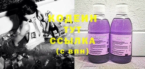 индика Бутурлиновка