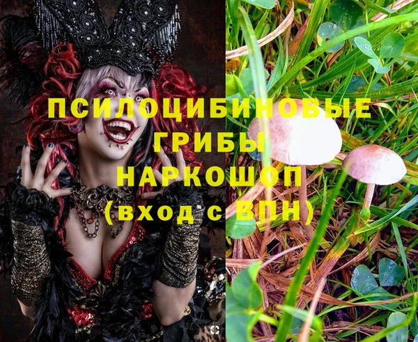 гашишное масло Алексеевка