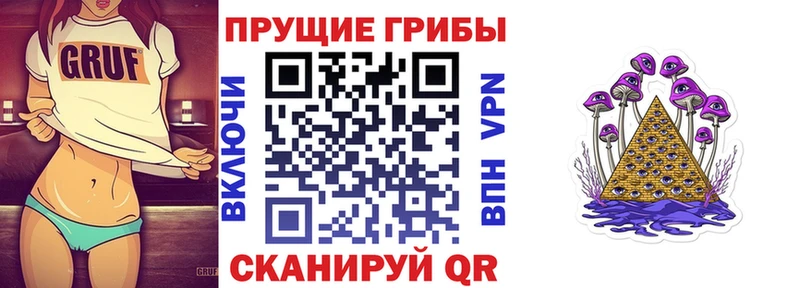 Галлюциногенные грибы Psilocybe  Дрезна 